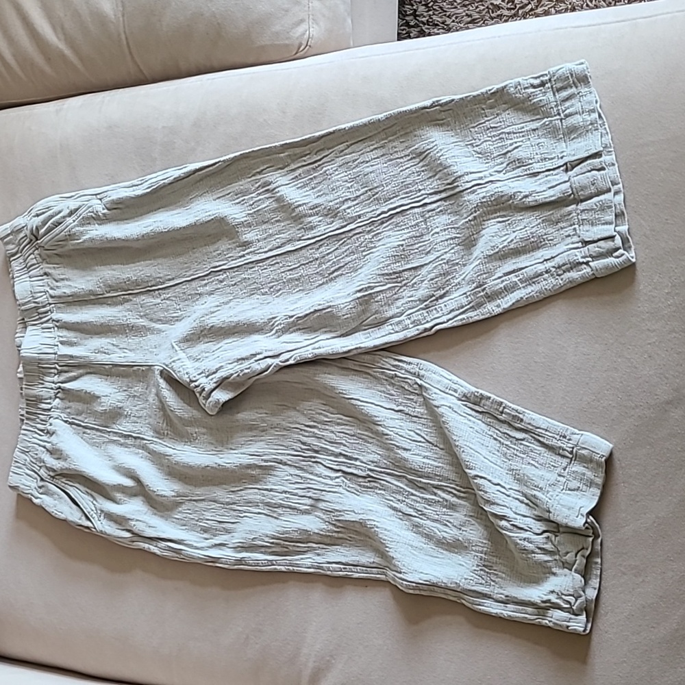 Madewell Women's Linen Wide Leg Capri Sage Green Pants